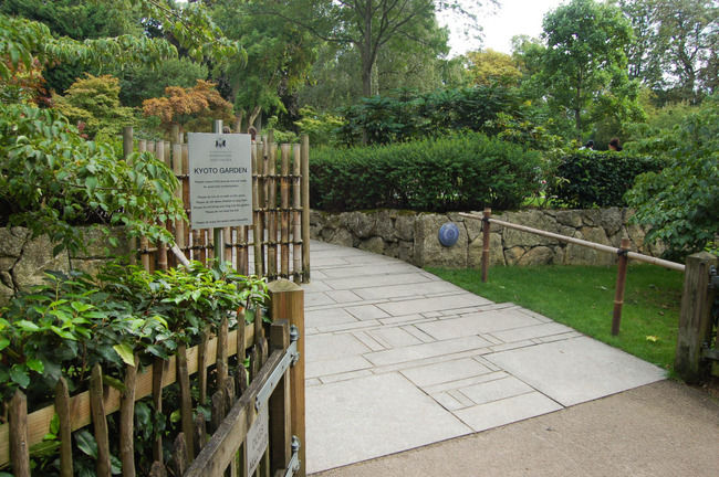 Photo of 10 Free Things To Do In London by Anita Hendrieka