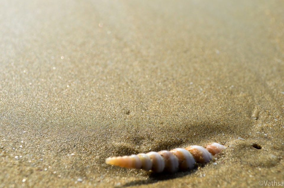 Photo of Beach Trek: Kumta to Gokarna by Shrivathsa Udupa