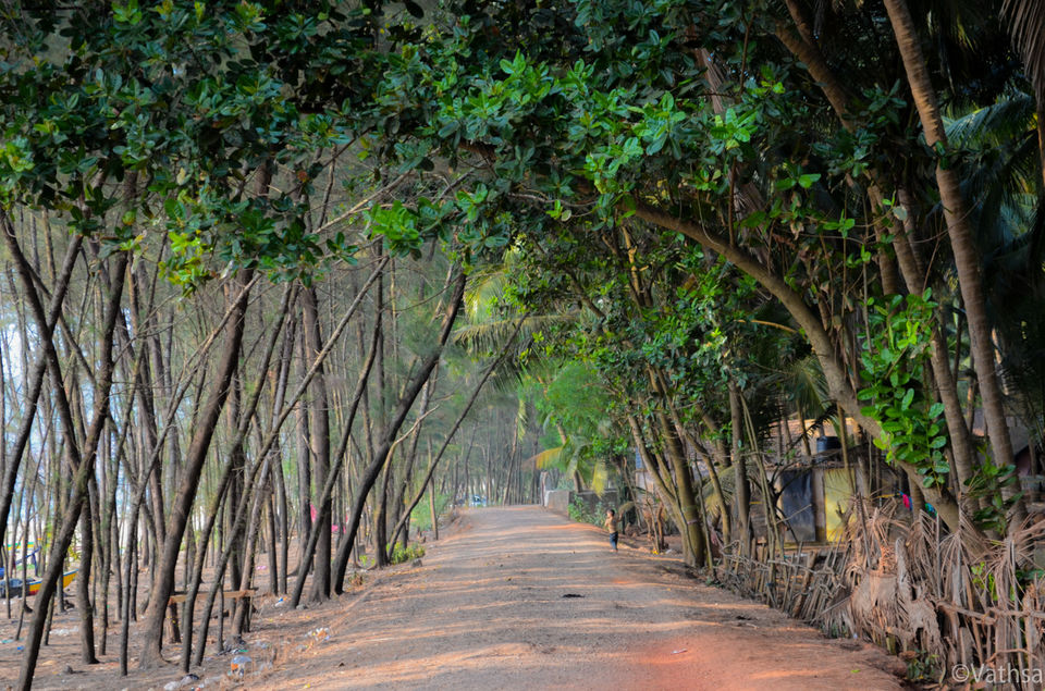 Photo of Beach Trek: Kumta to Gokarna by Shrivathsa Udupa