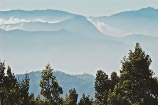 Photo of Coonoor, Tamil Nadu, India by Mohamed Rizwan