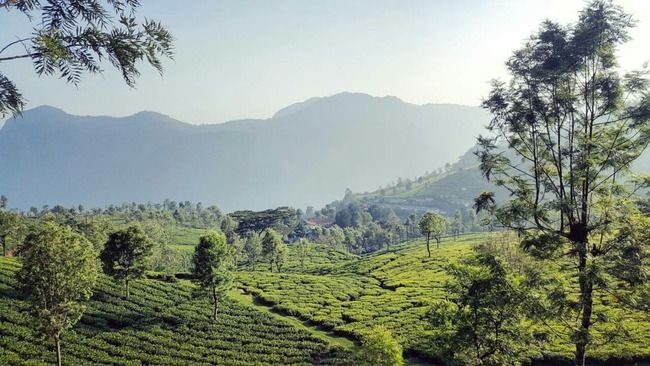 Photo of Coonoor, Tamil Nadu, India by Mohamed Rizwan