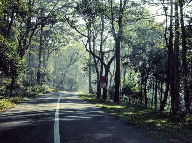 Photo of Coonoor, Tamil Nadu, India by Mohamed Rizwan