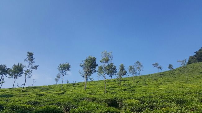 Photo of Coonoor, Tamil Nadu, India by Mohamed Rizwan