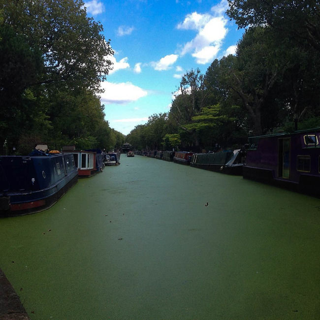 Photo of 10 Free Things To Do In London by Anita Hendrieka