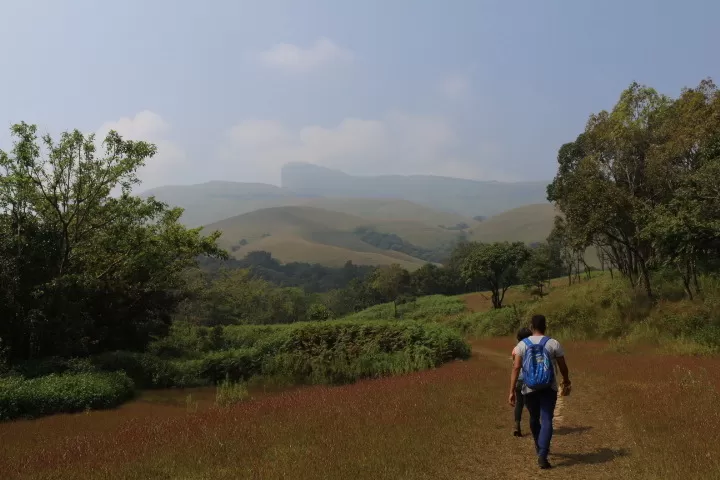 Photo of Kudremukh, Karnataka, India by saumya silori