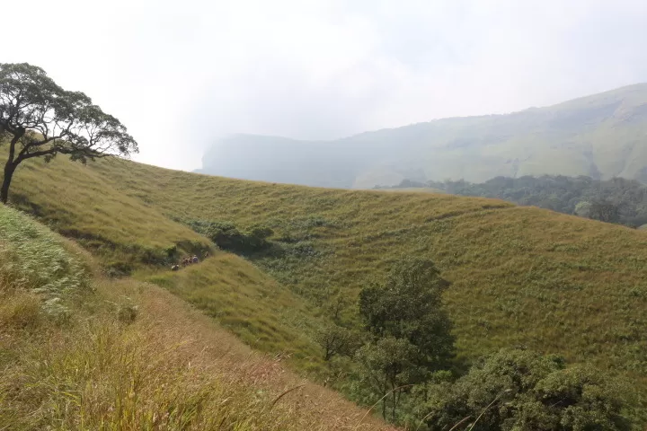Photo of Kudremukh, Karnataka, India by saumya silori