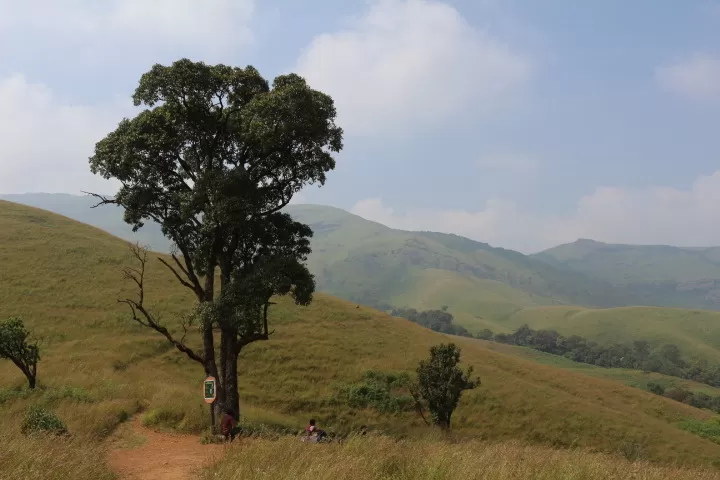 Photo of Kudremukh, Karnataka, India by saumya silori