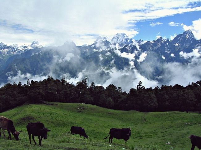 Photo of Auli, Himachal Pradesh, India by Sreshti Verma