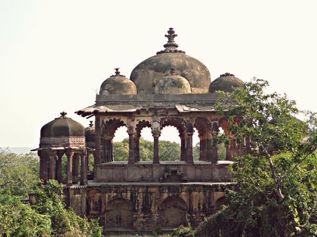 Photo of Ranthambore, Khilchipur, Rajasthan, India by Sreshti Verma