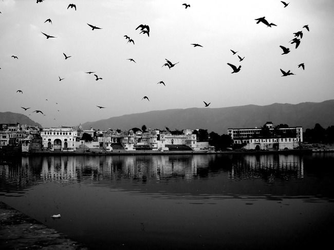 Photo of Pushkar, Rajasthan, India by Sreshti Verma