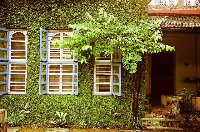 Photo of Dahanu, Maharashtra, India by Sreshti Verma