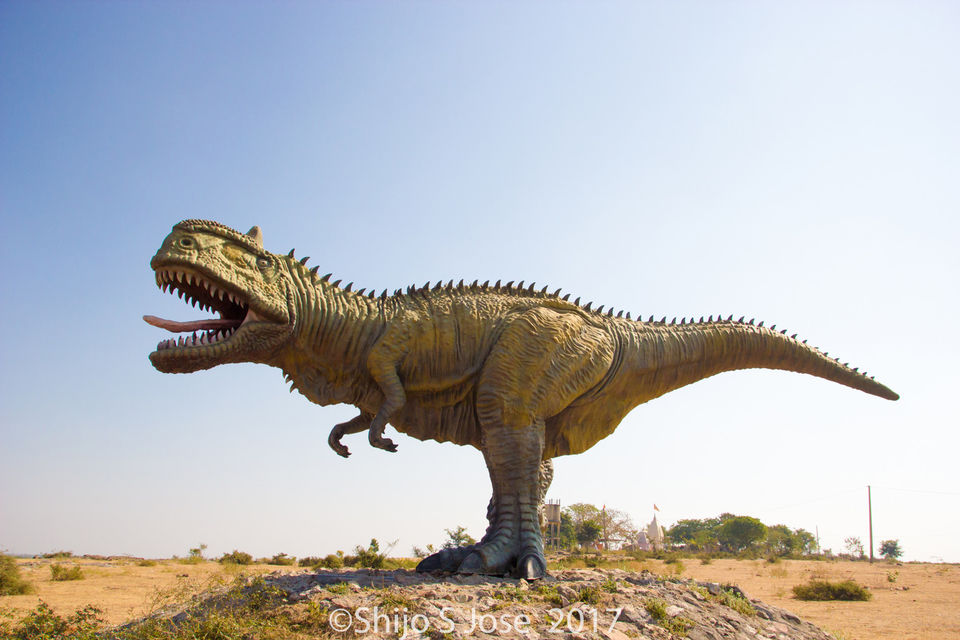 balasinor fossil park