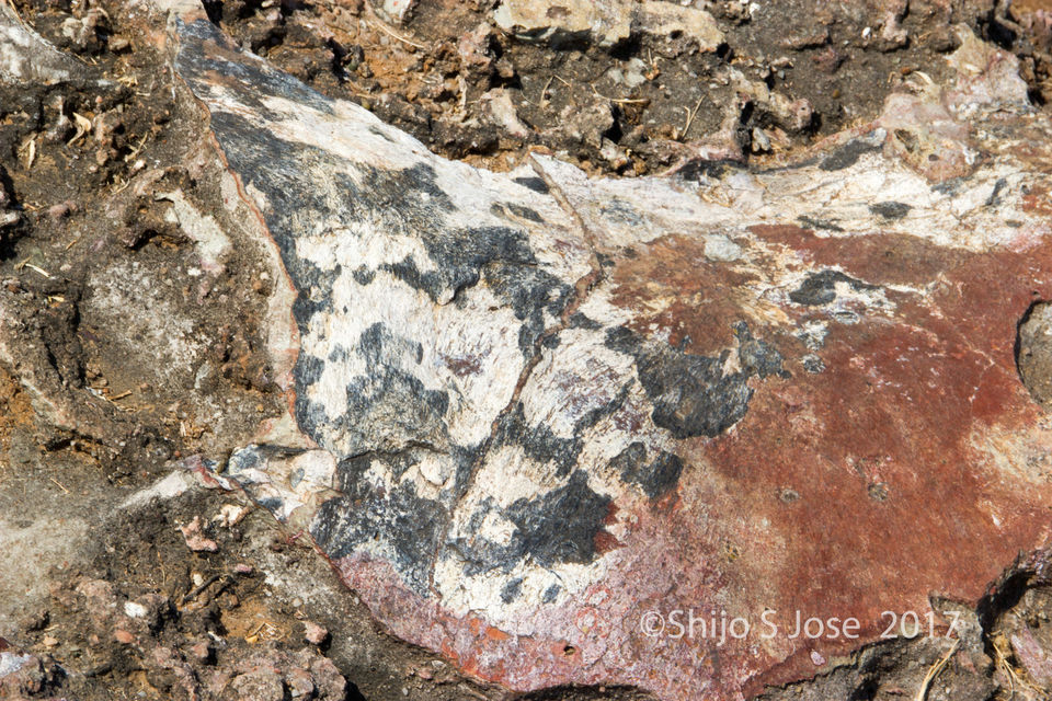 Photo of Balasinor Dinosaur Fossil Park, Jetholi, Gujarat, India by Shijo Skaria Jose