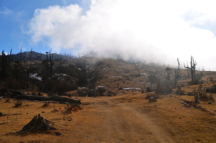 Photo of Sandakphu-Phalut Winter Trek by Chandro Samadder