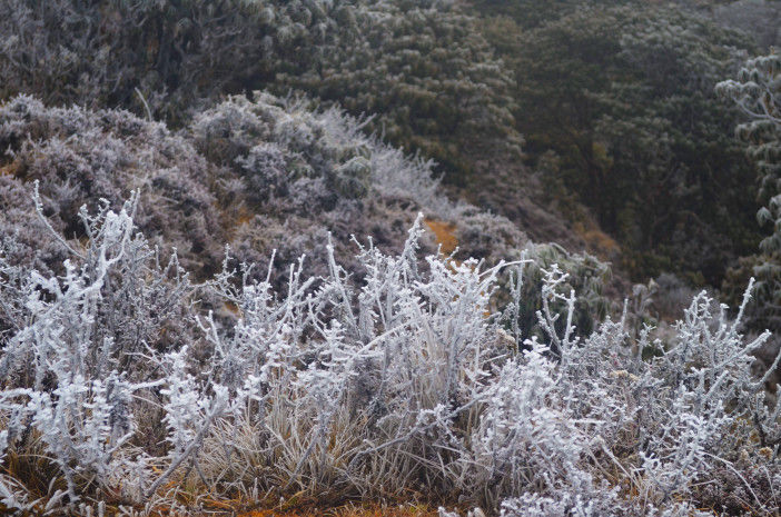 Photo of Sandakphu-Phalut Winter Trek by Chandro Samadder