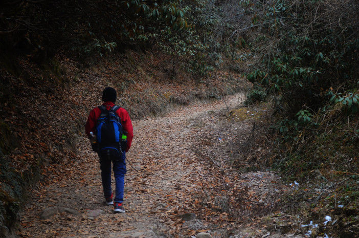 Photo of Sandakphu-Phalut Winter Trek by Chandro Samadder