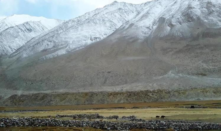 Photo of Roadtrip & Camp; Camping in Pangong Tso by mytravelnama