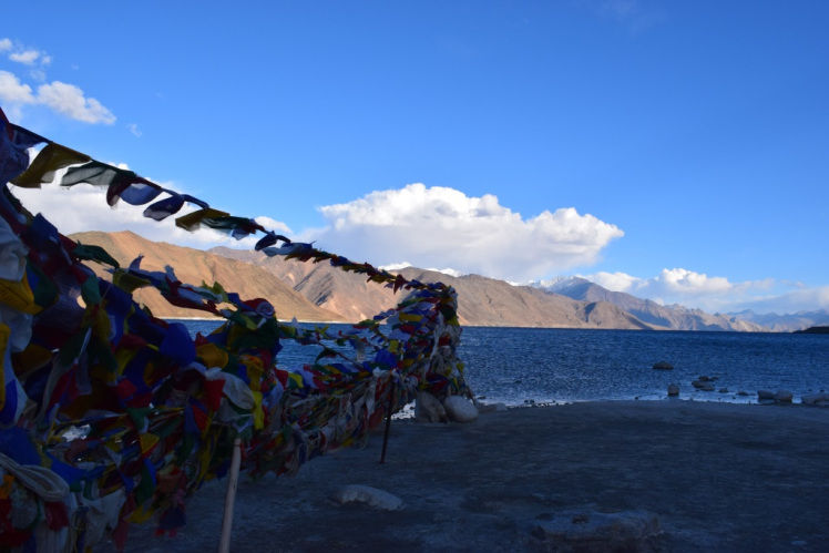 Photo of Roadtrip & Camp; Camping in Pangong Tso by mytravelnama