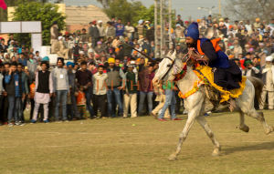 Photo of Kila Raipur Rural Olympics is a must see event by Jai Thakur