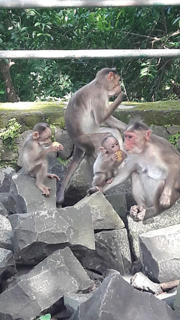 Photo of Visiting Elephanta Caves by Cupid Travellers