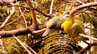 Photo of Chirpy Delhi by malvikarudra31