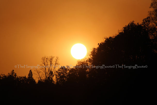 Photo of Tranquillity Gets Synonym In Pawalgarh Conservation Reserve Of Corbett by thehangingboots