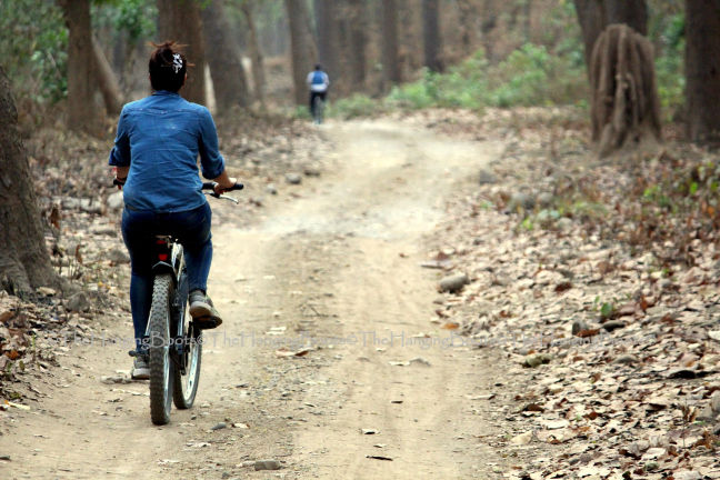 Photo of Tranquillity Gets Synonym In Pawalgarh Conservation Reserve Of Corbett by thehangingboots