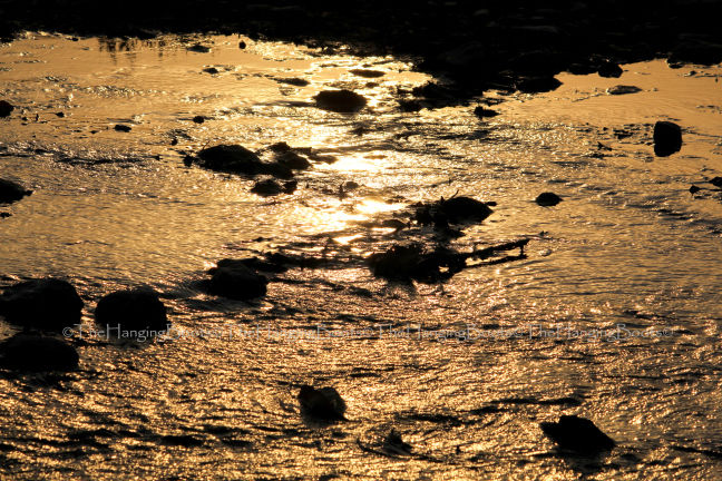 Photo of Tranquillity Gets Synonym In Pawalgarh Conservation Reserve Of Corbett by thehangingboots