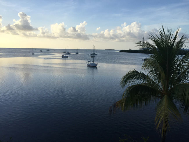 Photo of mallory square, Key West, FL, United States by Being Meraklis - Shwetha Sivaraman