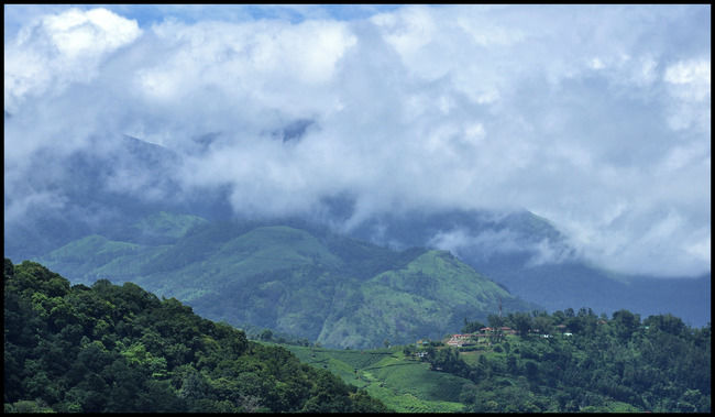 Photo of Mathikettan Shola National Park, Pooppara, Kerala, India by Sreshti Verma