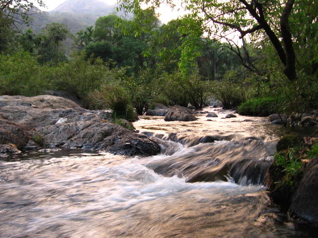 Photo of Silent Valley National Park KERALA, Karuvara, Palakkad, Kerala, India by Sreshti Verma