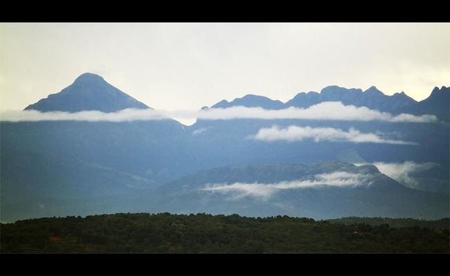 Photo of 6 Stunning National Parks in Kerala: Everything You Need To Know About God's Own Wilderness by Sreshti Verma