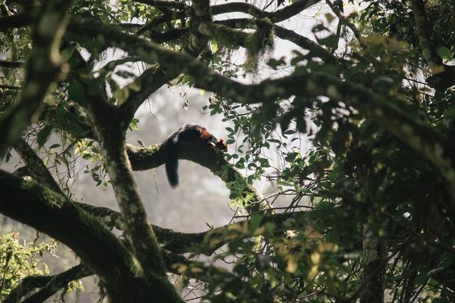 Photo of 6 Stunning National Parks in Kerala: Everything You Need To Know About God's Own Wilderness by Sreshti Verma