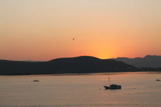 Photo of Udaipur Times! by Sreedevi Jeevan