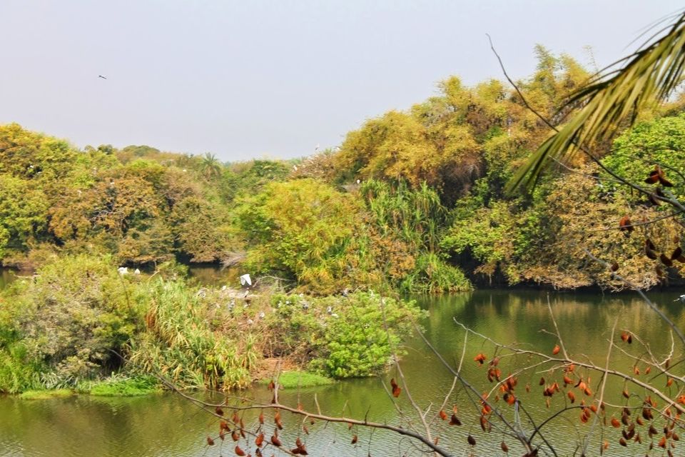 Photo of Ranganathittu Bird Sanctuary - Mysore - Karnataka by Shayaan Ahmad Noori