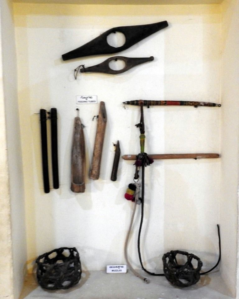 Photo of Janapada Loka Folk Arts Museum: Insight Into Karantaka’s Rural Culture by Rashmi Gopal Rao