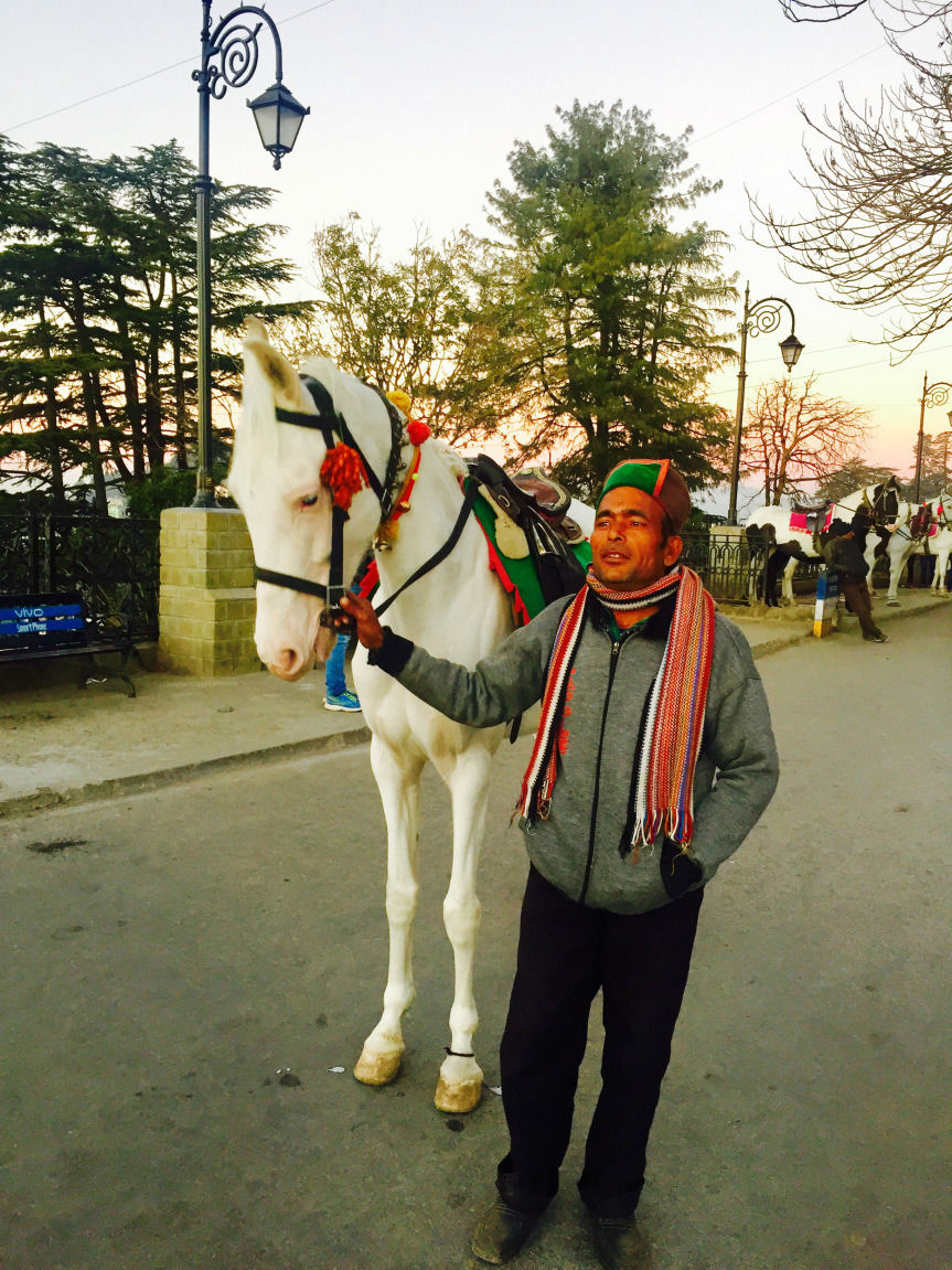 Photo of Shimla, Under The Deodars by Neha Chauhan