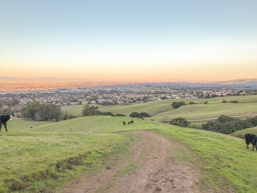 Photo of San Francisco, CA, United States by Gaurav Belwal