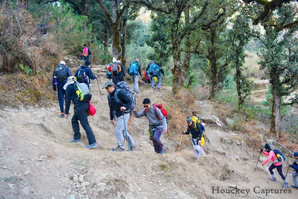 Photo of Sankri, Uttarakhand, India by harsh.chhadva007
