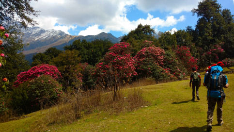 Photo of Chopta, Uttarakhand, India by Travel Beings