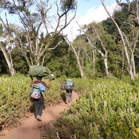 Photo of Kilimanjaro, Rombo, Kilimanjaro Region, Tanzania by rageorgescu