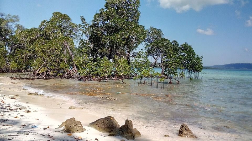 Photo of Elephant Beach, South Andaman, Andaman and Nicobar Islands, India by reachmonica