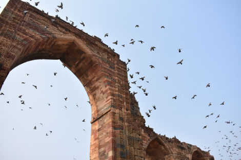 Photo of A Heritage walk in Qutub Minar by Divya Chandrashekhar