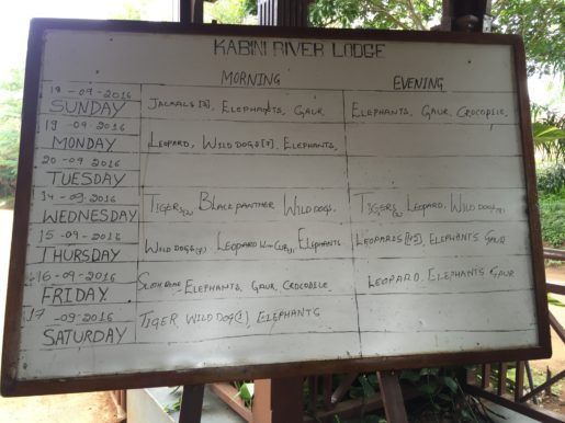 Photo of Kabini by tanya.korteling
