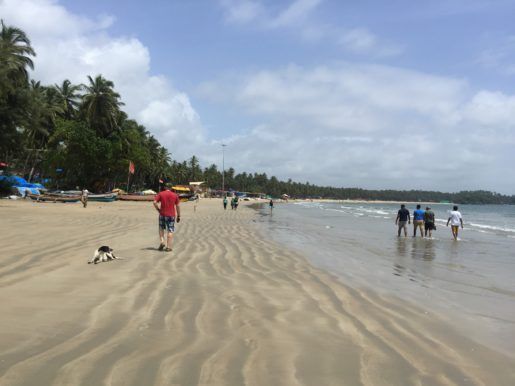 Photo of India: Rainy Days and a Cow Attack - Palolem, South Goa! by tanya.korteling