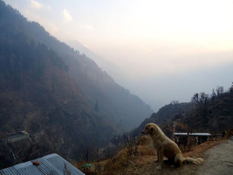 Photo of In Search of Solitude- Tosh, the Untouched Beauty! by Nancy Agarwal