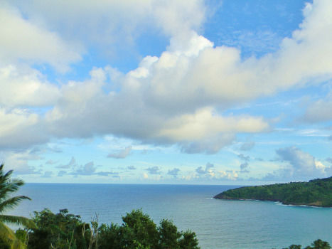Photo of Champagne Reef, Dominica by Amy Copadis