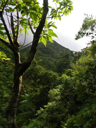 Photo of 5 Reasons To Visit Dominica This Year by Amy Copadis