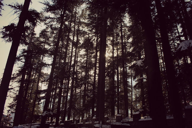 Photo of Vashishtha Temple, Vashist, Himachal Pradesh, India by Priyanshu Rana