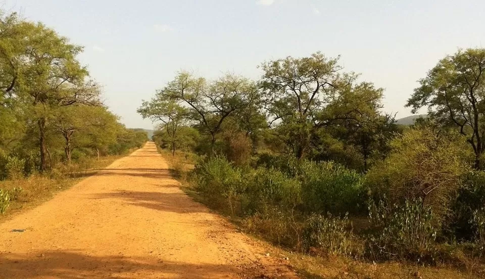 Photo of Sariska National Park, Kraska, Rajasthan, India by sumit